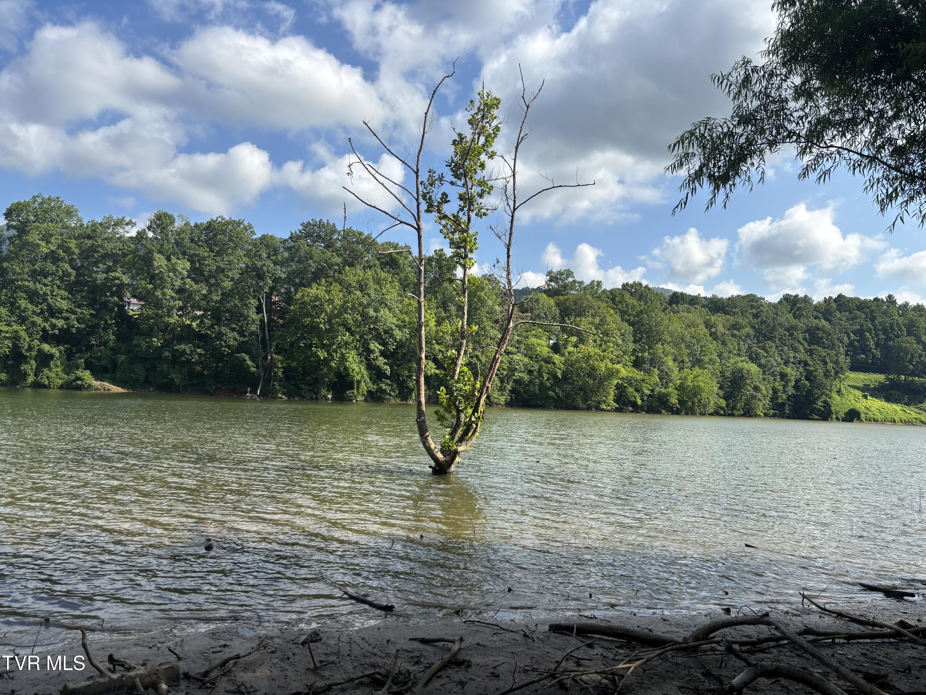 Tbd Roan Creek Road Butler, TN 37640 - Photo 2 of 51 IMG_4762