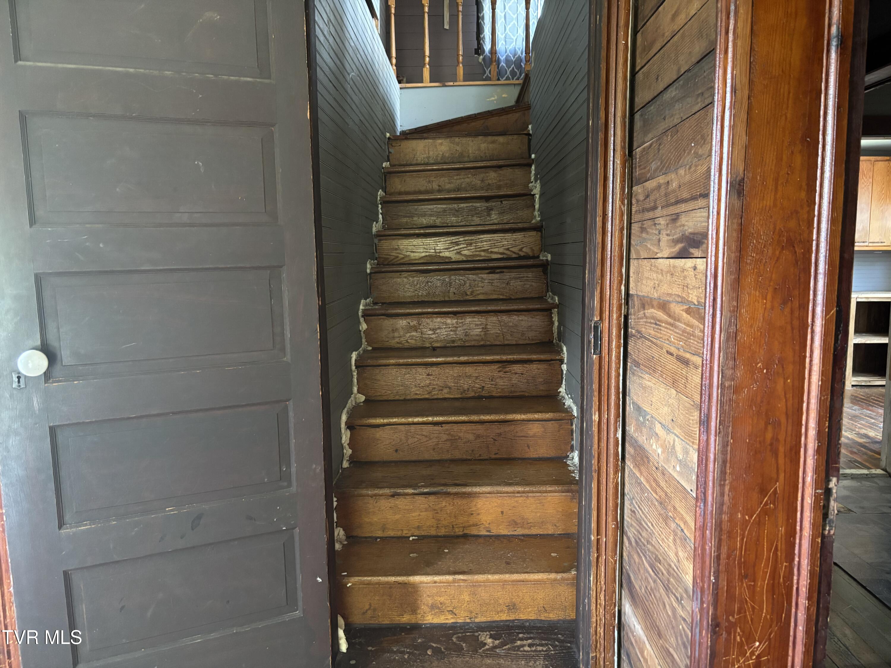 Tbd Roan Creek Road Butler, TN 37640 - Photo 44 of 51 IMG_4832