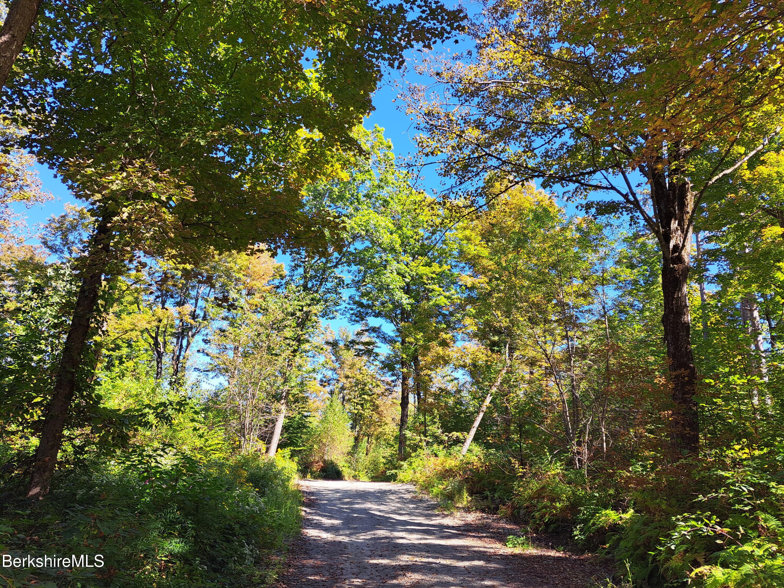 Lot ''b'' Beulah Land Road Blandford, MA 01008 - Photo 2 of 18 14-20250920_133317