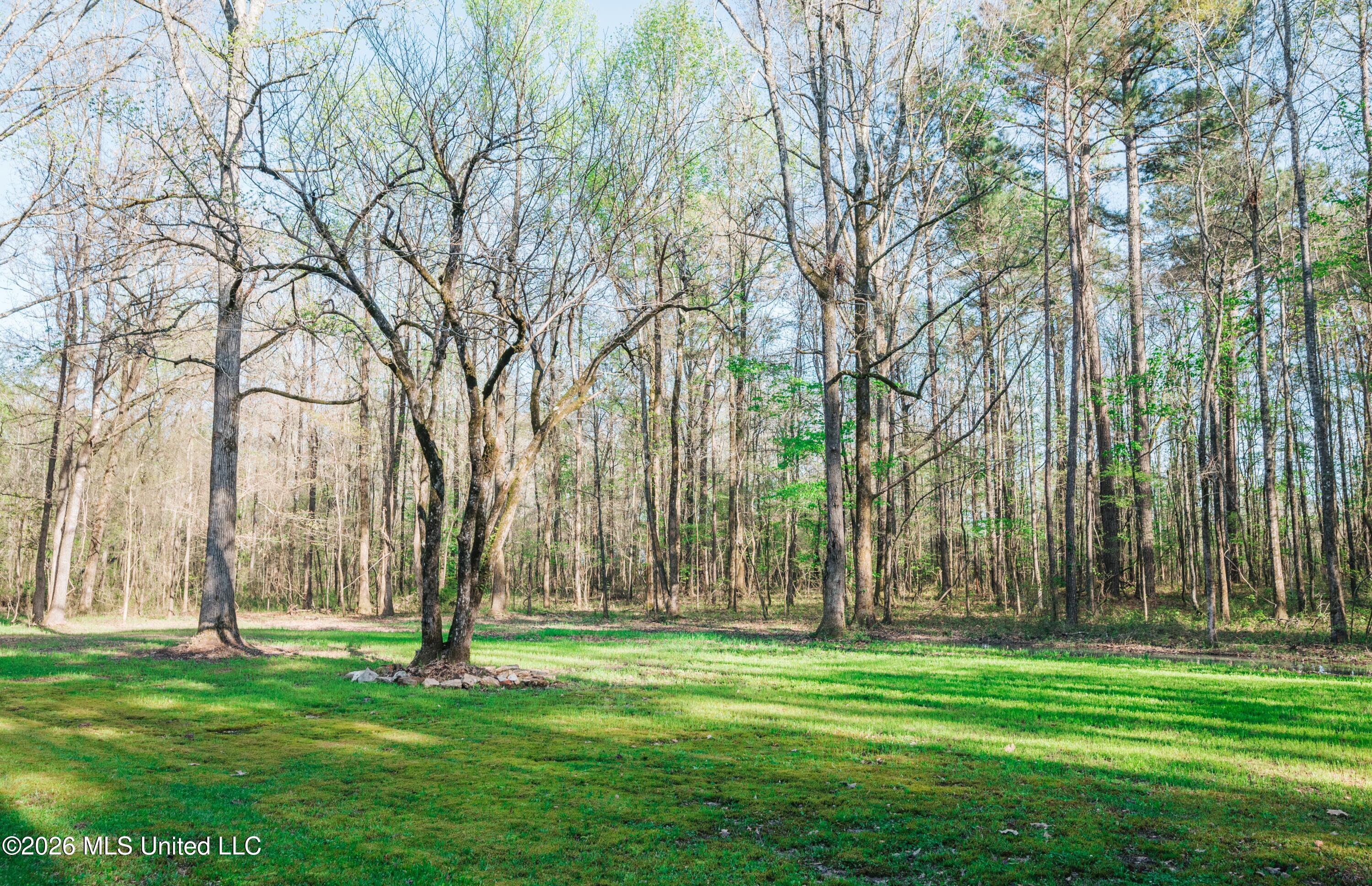 2568 Raymond Williams Road Sturgis, MS 39769 - Photo 2 of 16 acreage