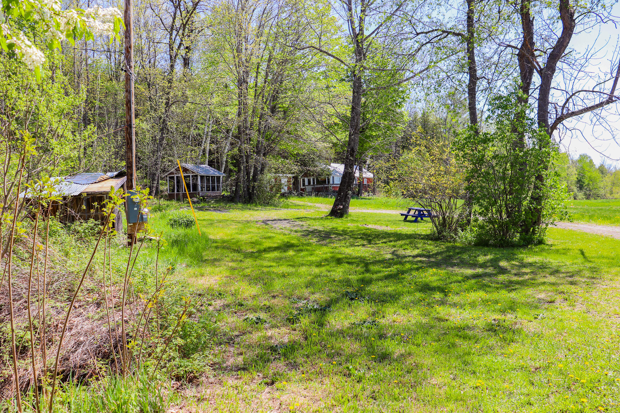 9 Wheeler Hill Road Phillips, ME 04966 - Photo 19 of 30 IMG_8587