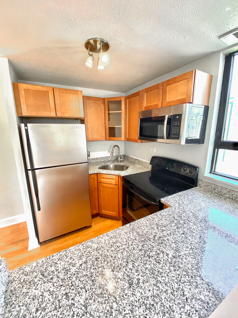 Undisclosed Address Chicago, IL 60611 - Photo 3 of 9 a kitchen with stainless steel appliances granite countertop a refrigerator sink and wooden cabinets