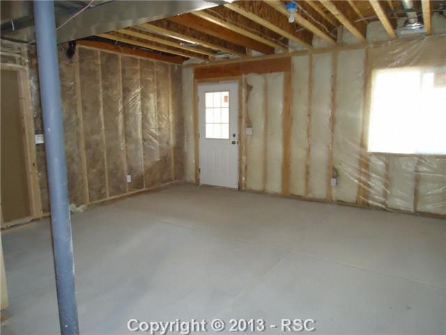 4027 N Road Divide, CO 80814 - Photo 19 of 20 Basement with walk-out