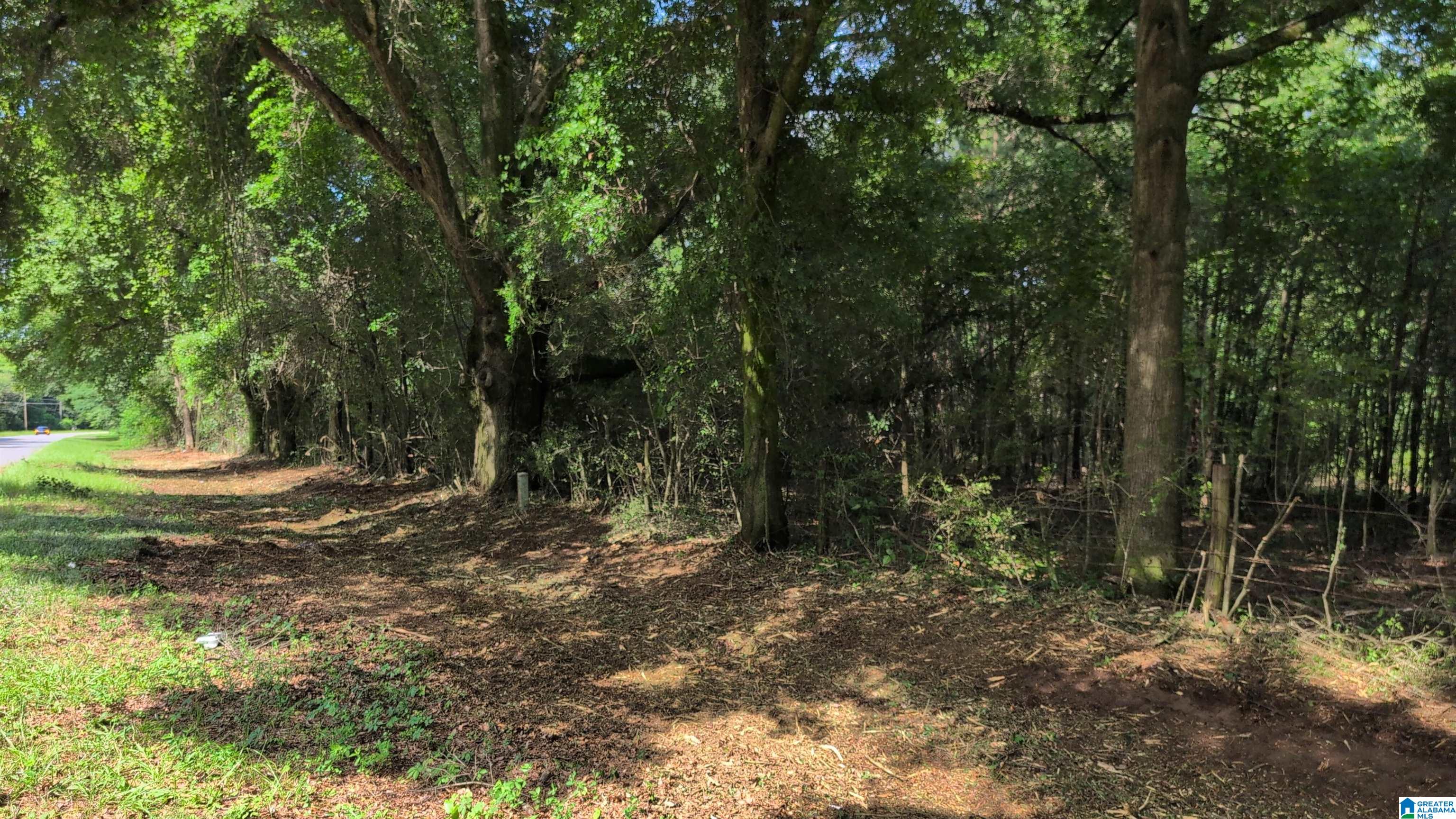 1 Ac /- Coosada Road, Unit 1 Millbrook, AL 36054 - Photo 2 of 11