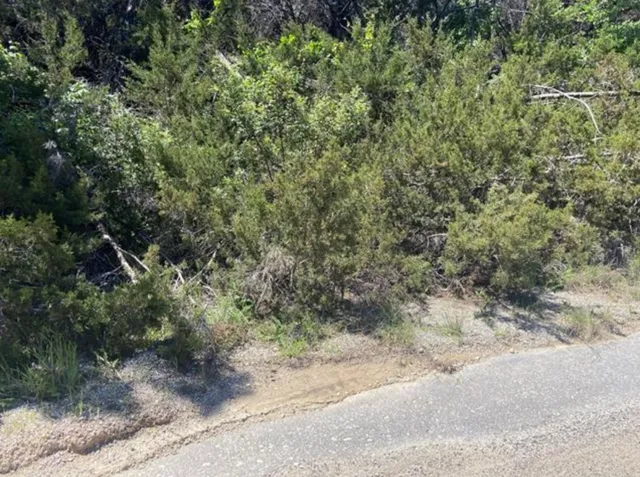 a view of a yard with a tree
