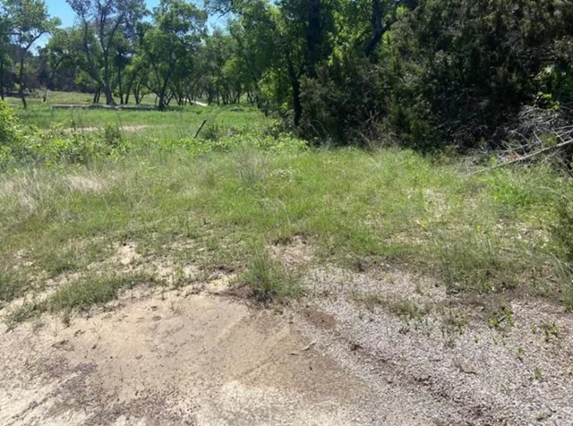 a big yard with lots of green space and deers