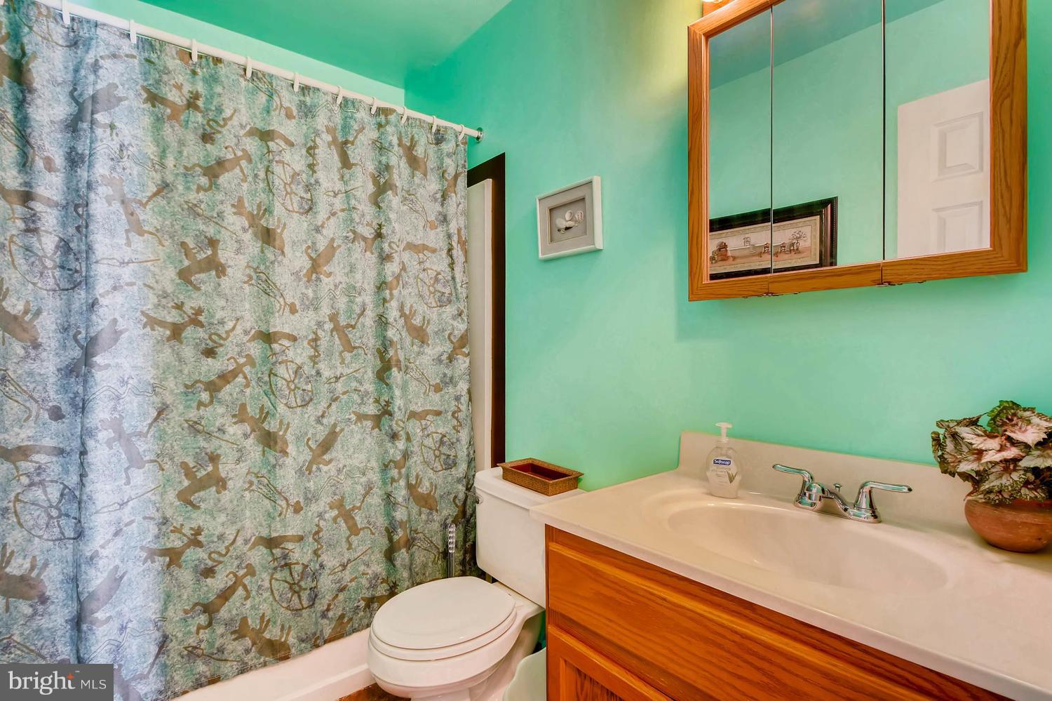 4628 Old Court Road Baltimore, MD 21208 - Photo 19 of 28 a bathroom with a sink a toilet and a mirror
