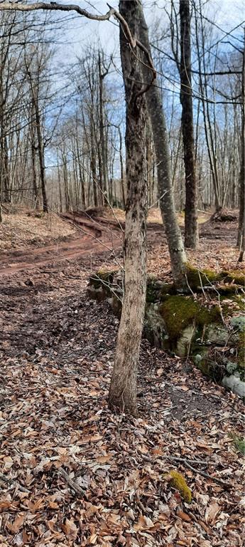 Chiloway Road Hancock, NY 13783 - Photo 1 of 1