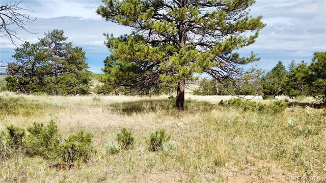 $274,900 | 32041 Cattle Circle, Ramah, CO 80832