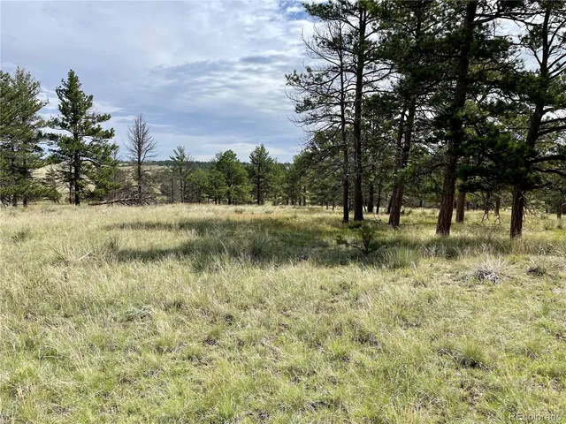 $274,900 | 32041 Cattle Circle, Ramah, CO 80832