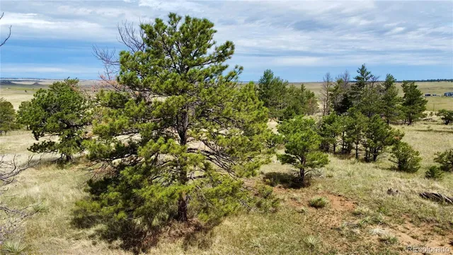 $274,900 | 32041 Cattle Circle, Ramah, CO 80832