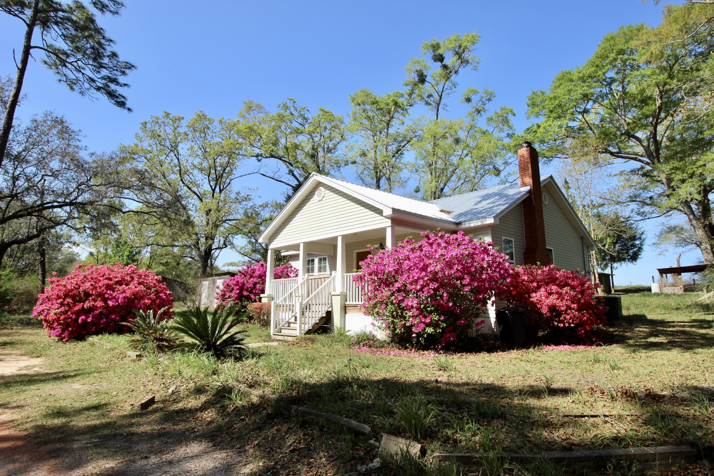 36 Williams Road DeFuniak Springs, FL 32433 - Photo 1 of 40 a front view of a house with a yard and potted plants