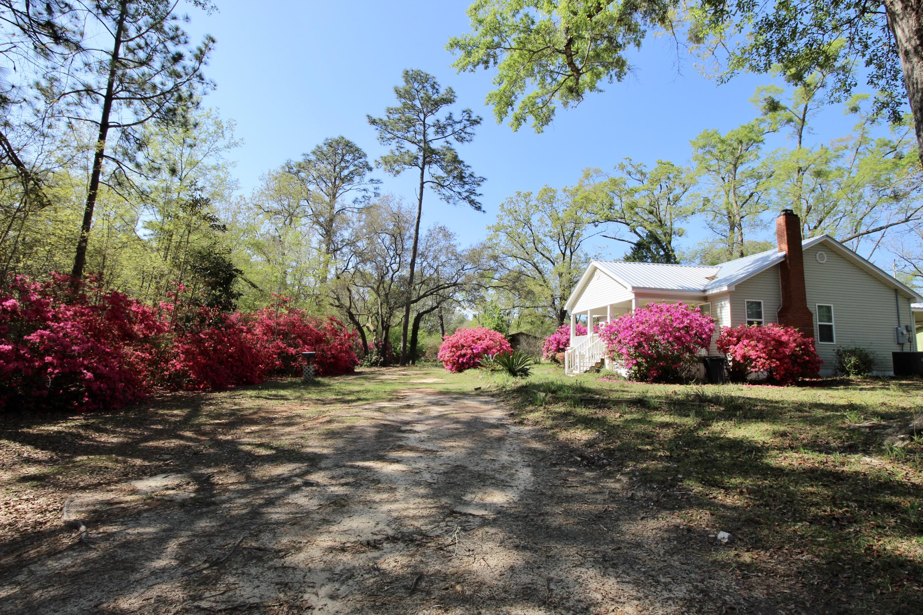36 Williams Road DeFuniak Springs, FL 32433 - Photo 40 of 40 a view of a white house with a yard and potted plants