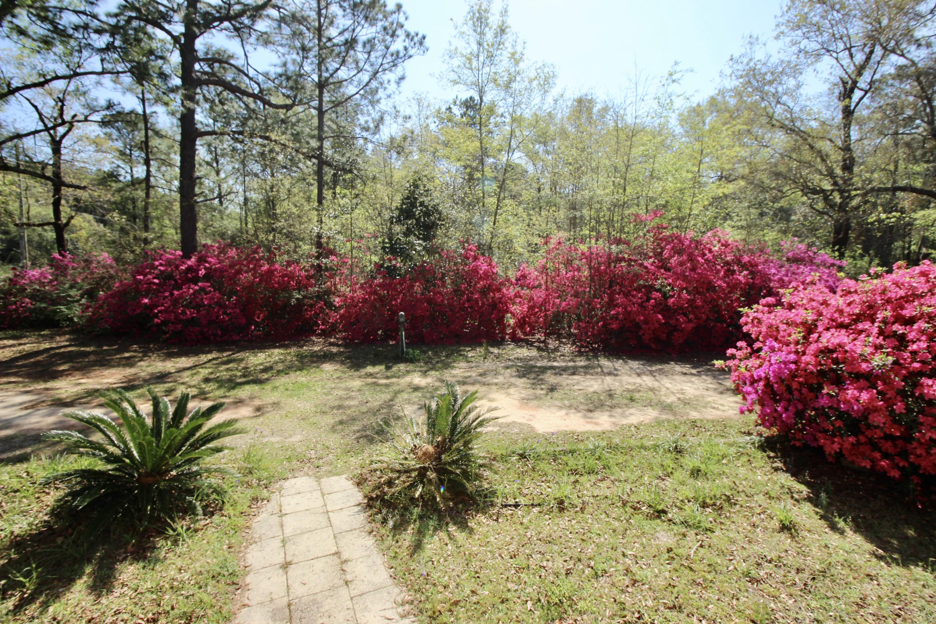36 Williams Road DeFuniak Springs, FL 32433 - Photo 6 of 40 a view of a bunch of flowers
