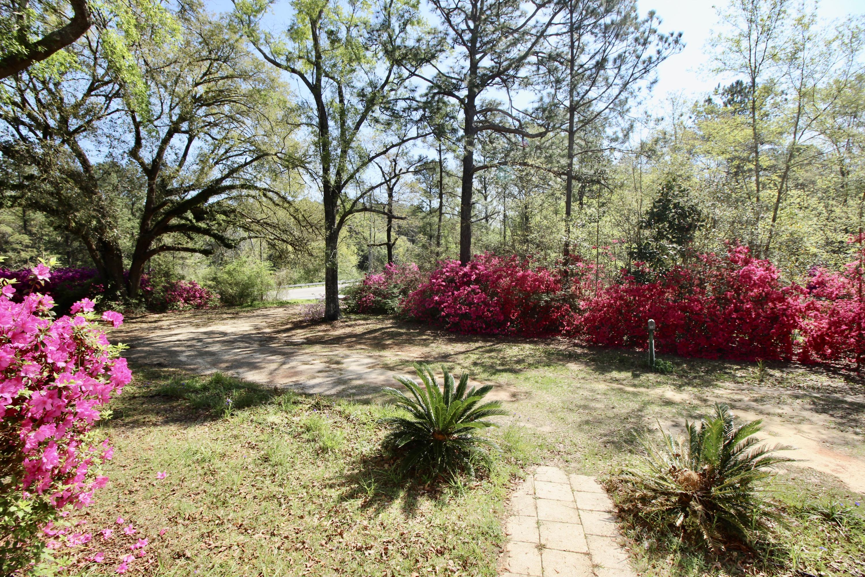 36 Williams Road DeFuniak Springs, FL 32433 - Photo 7 of 40 a view of a backyard with potted plants and large trees