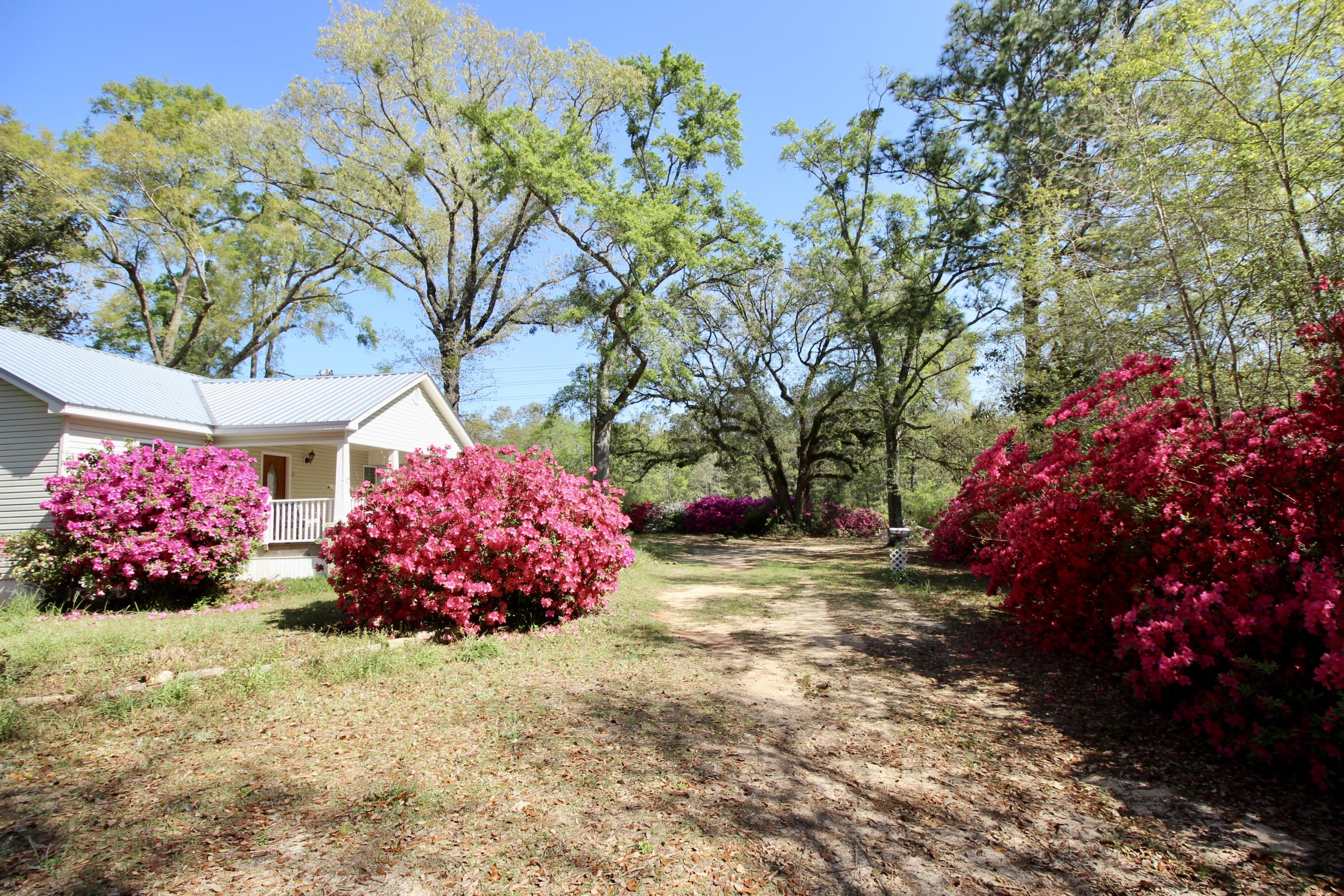 36 Williams Road DeFuniak Springs, FL 32433 - Photo 10 of 40 a view of a flower in a yard