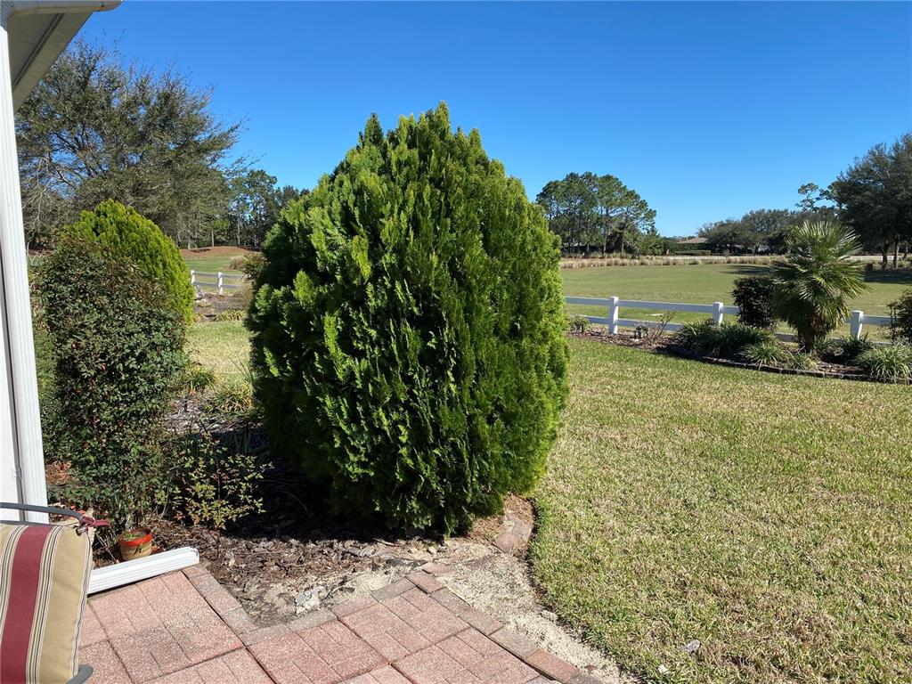8464 Southwest 82nd Circle Ocala, FL 34481 - Photo 34 of 47 a view of a garden with lawn chairs under an umbrella