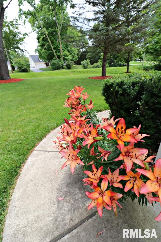 4719 North Koerner Road Peoria, IL 61615 - Photo 2 of 27 Gallery Image 2
