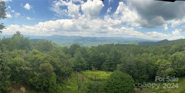 a view of a big yard with lots of green space
