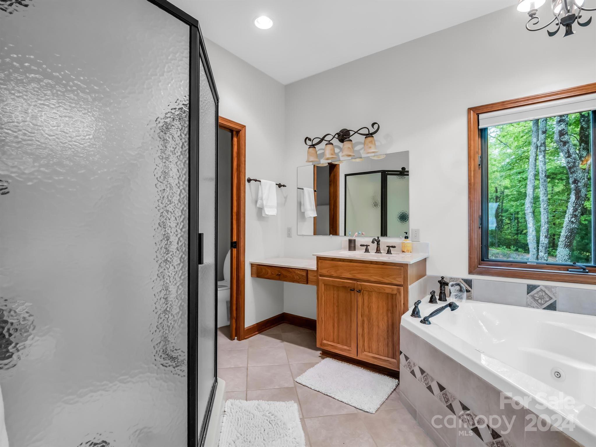 428 Devils Hole Road, Unit 14 Rosman, NC 28772 - Photo 24 of 47 a bathroom with a tub a sink and mirror