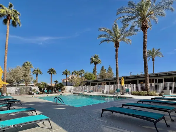 a view of a back yard