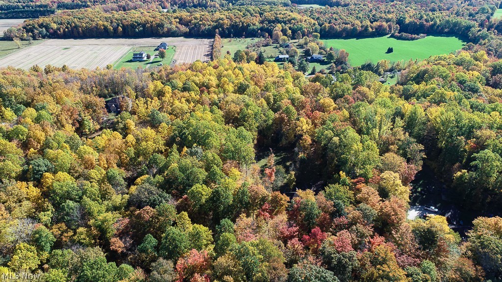 Vl Callow Road Painesville, OH 44077 - Photo 1 of 8