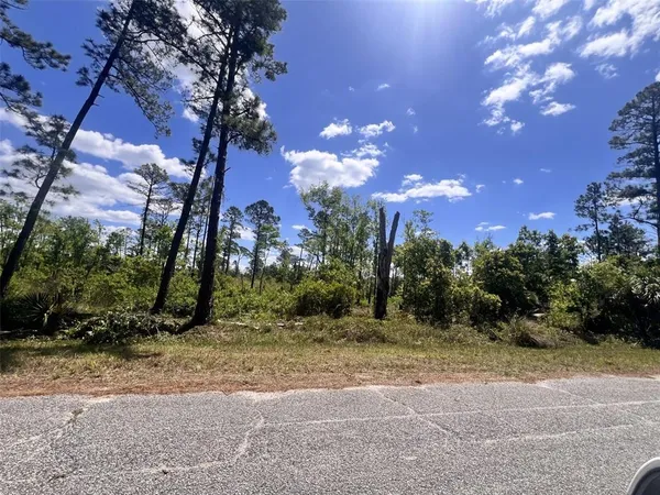 $40,000 | Banyan Street, Unit 1, Eustis, FL 32736