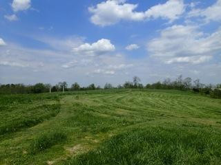284 Eden Ridge Road Foster, KY 41043 - Photo 14 of 18 Gallery Image 14