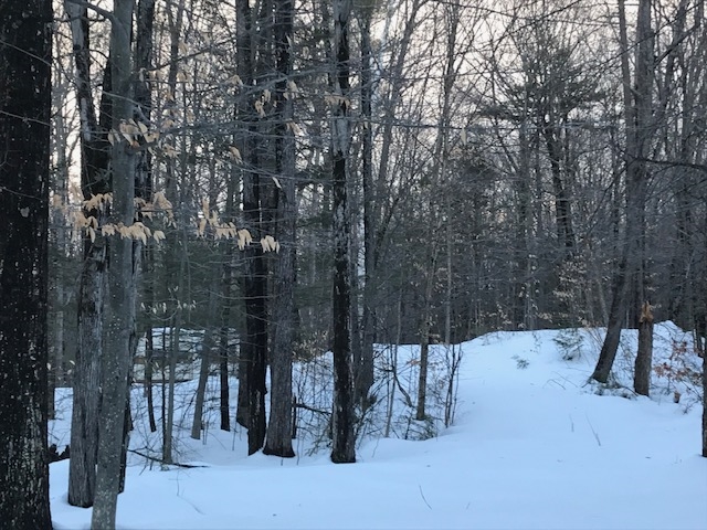 0 Old Carr Road Antrim, NH 03440 - Photo 2 of 7