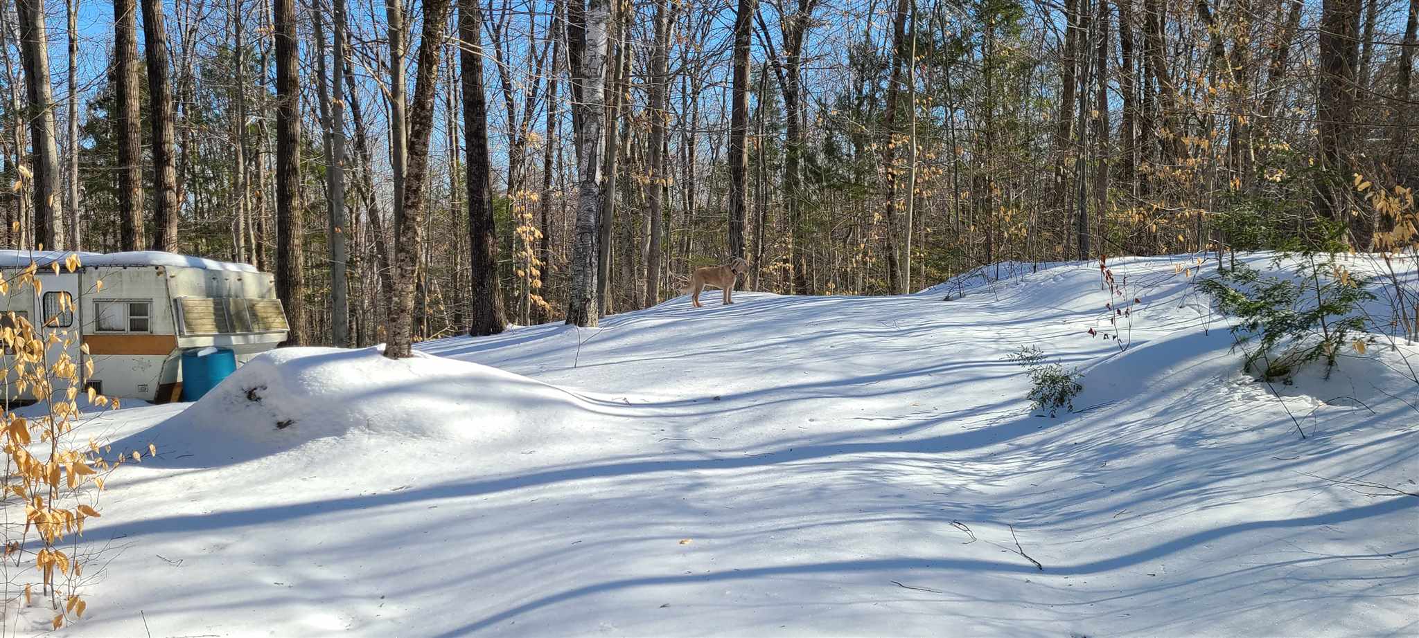 0 Old Carr Road Antrim, NH 03440 - Photo 7 of 7