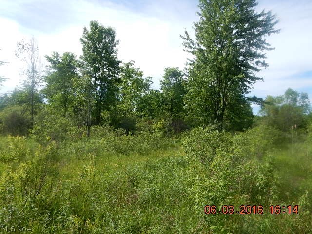 Hoffman Road Rome, OH 44085 - Photo 6 of 34