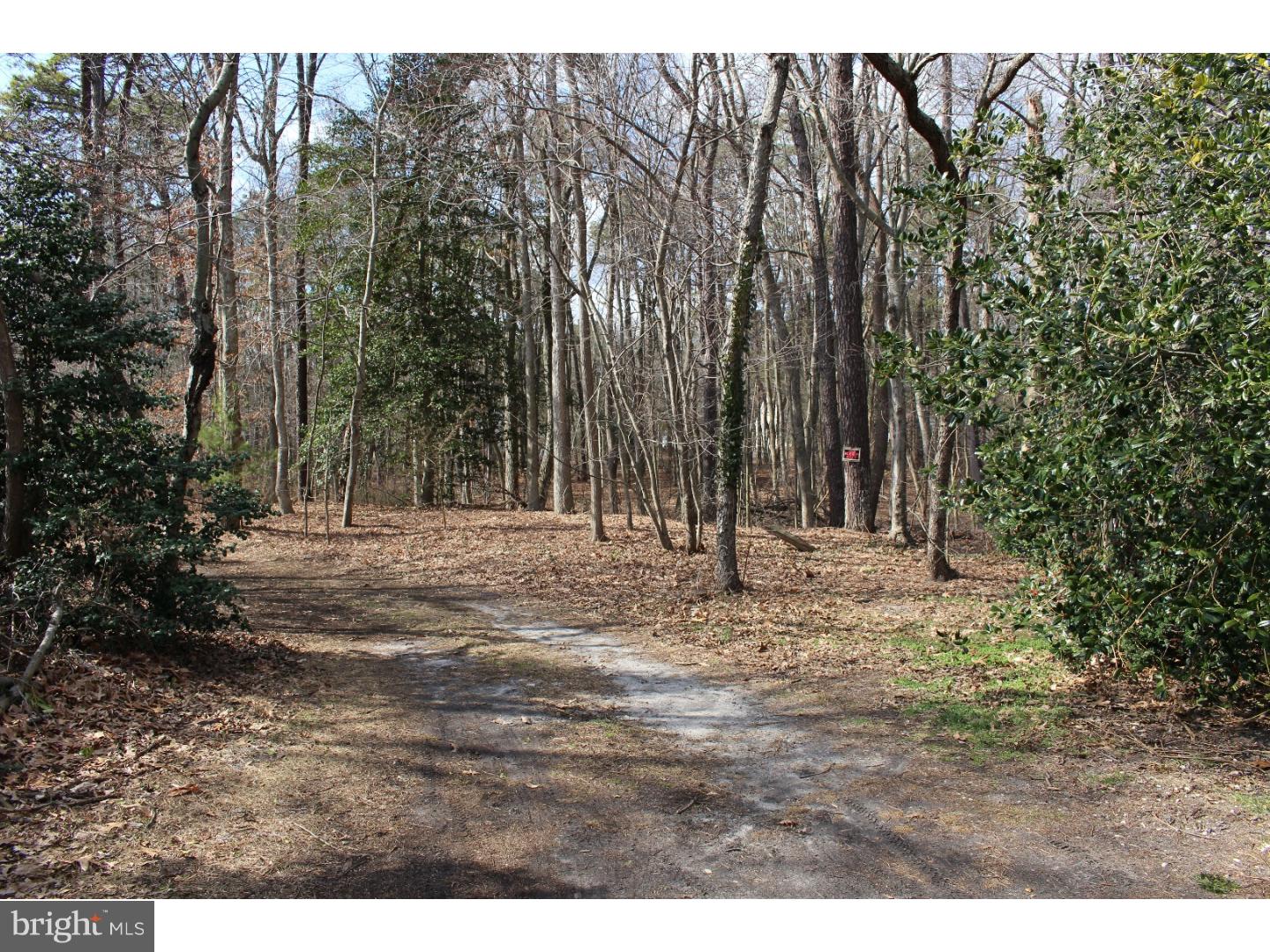 42 Johnson Road Gibbsboro, NJ 08026 - Photo 22 of 22