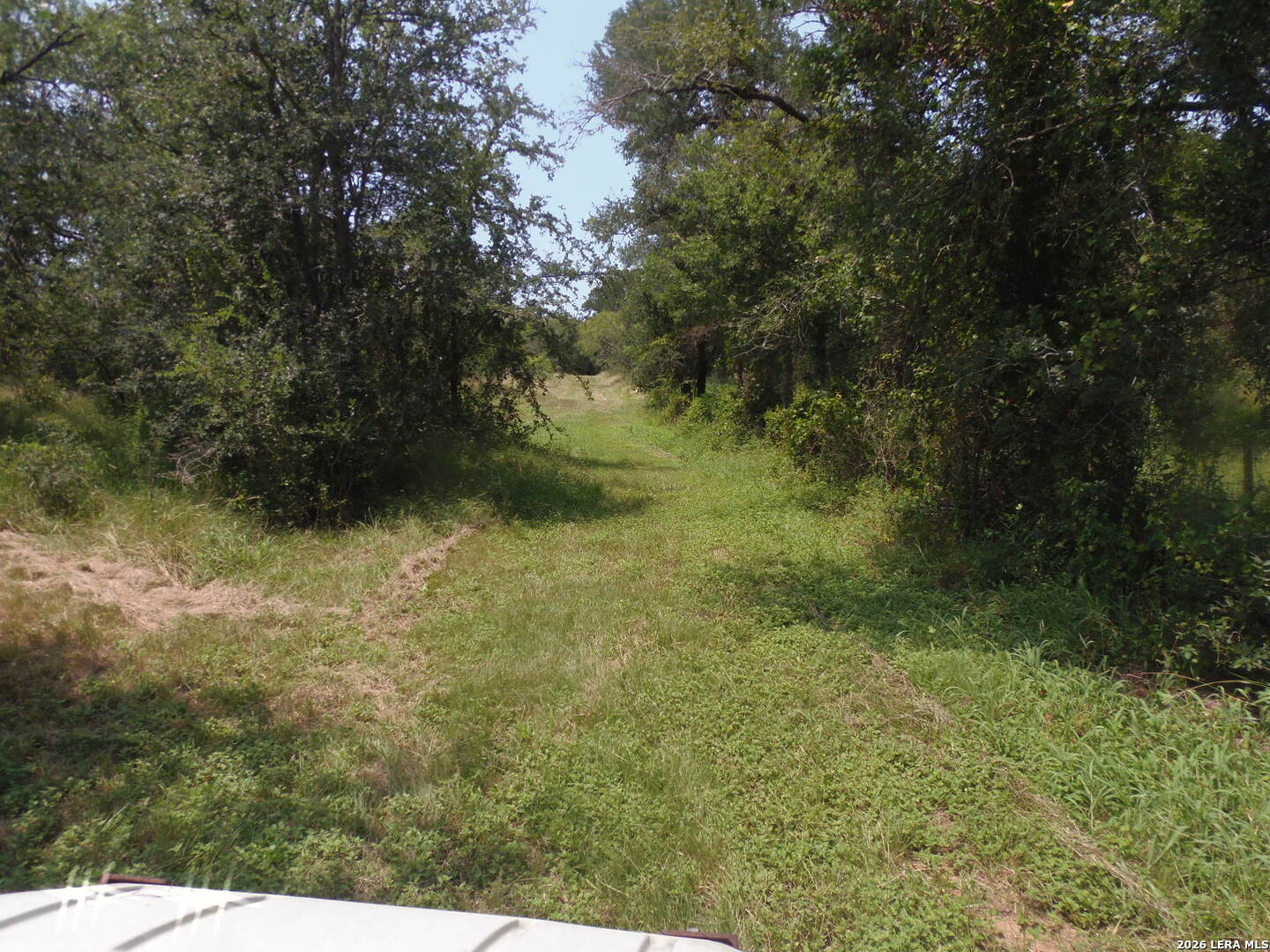 90 Romberg Road Lockhart, TX 78644 - Photo 6 of 21