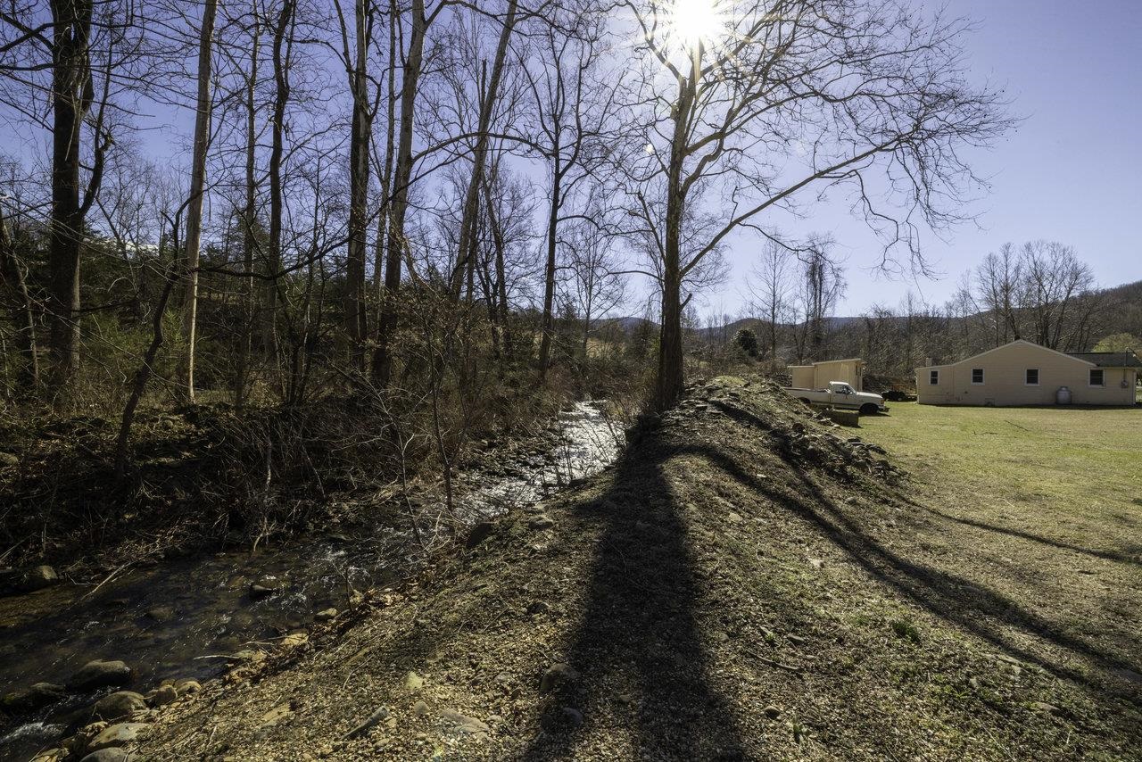 2355 Pine Grove Road Stanley, VA 22851 - Photo 24 of 25 a view of a yard with trees