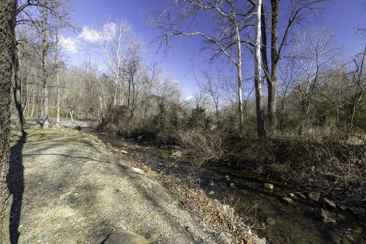 2355 Pine Grove Road Stanley, VA 22851 - Photo 25 of 25 a view of backyard with green space
