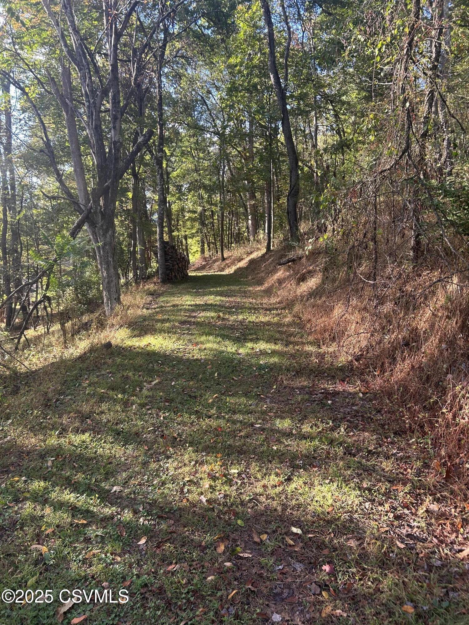 Ridge Road Cogan Station, PA 17728 - Photo 3 of 11
