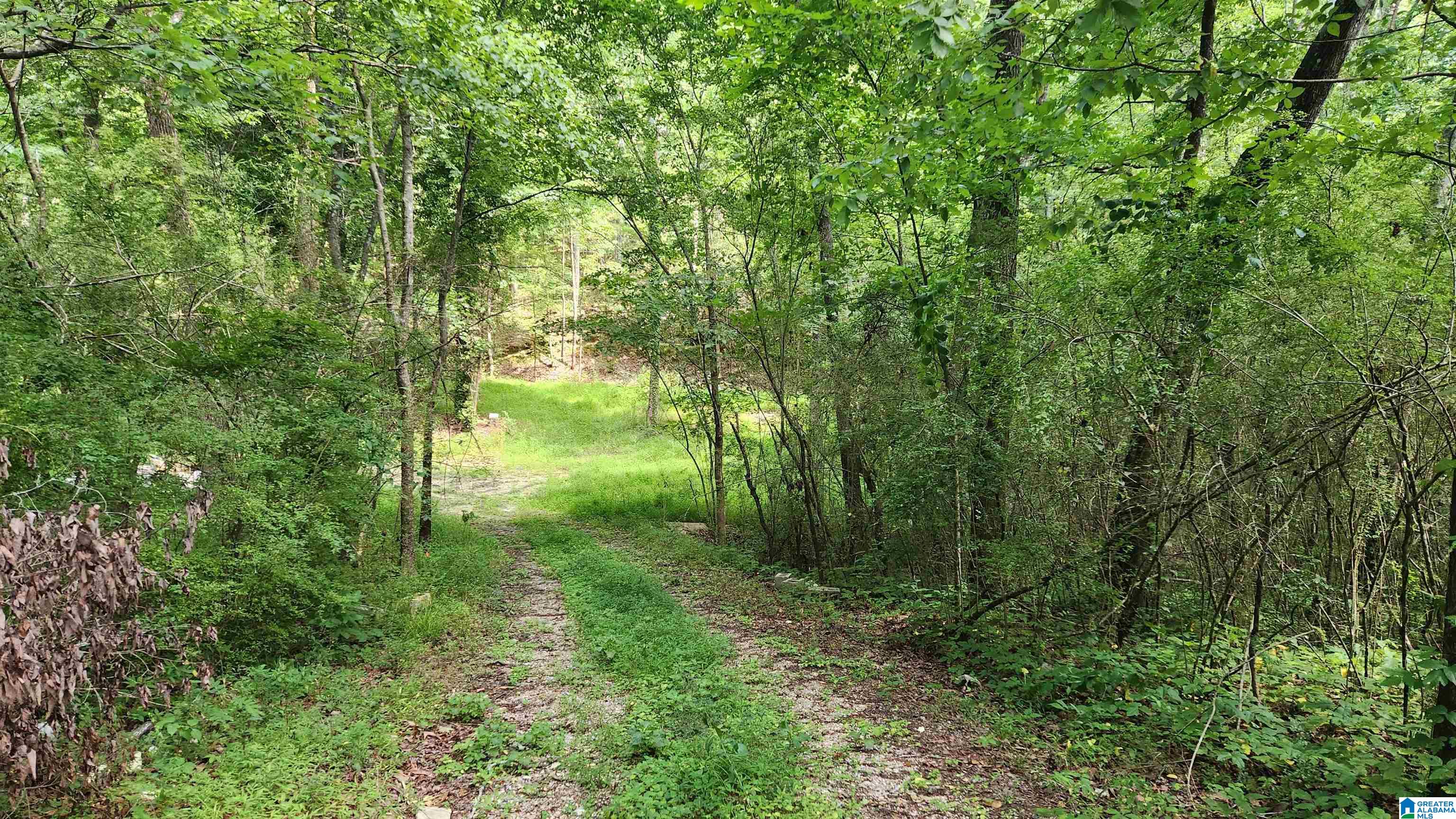 5233 Dewey Heights Road Pinson, AL 35126 - Photo 1 of 5
