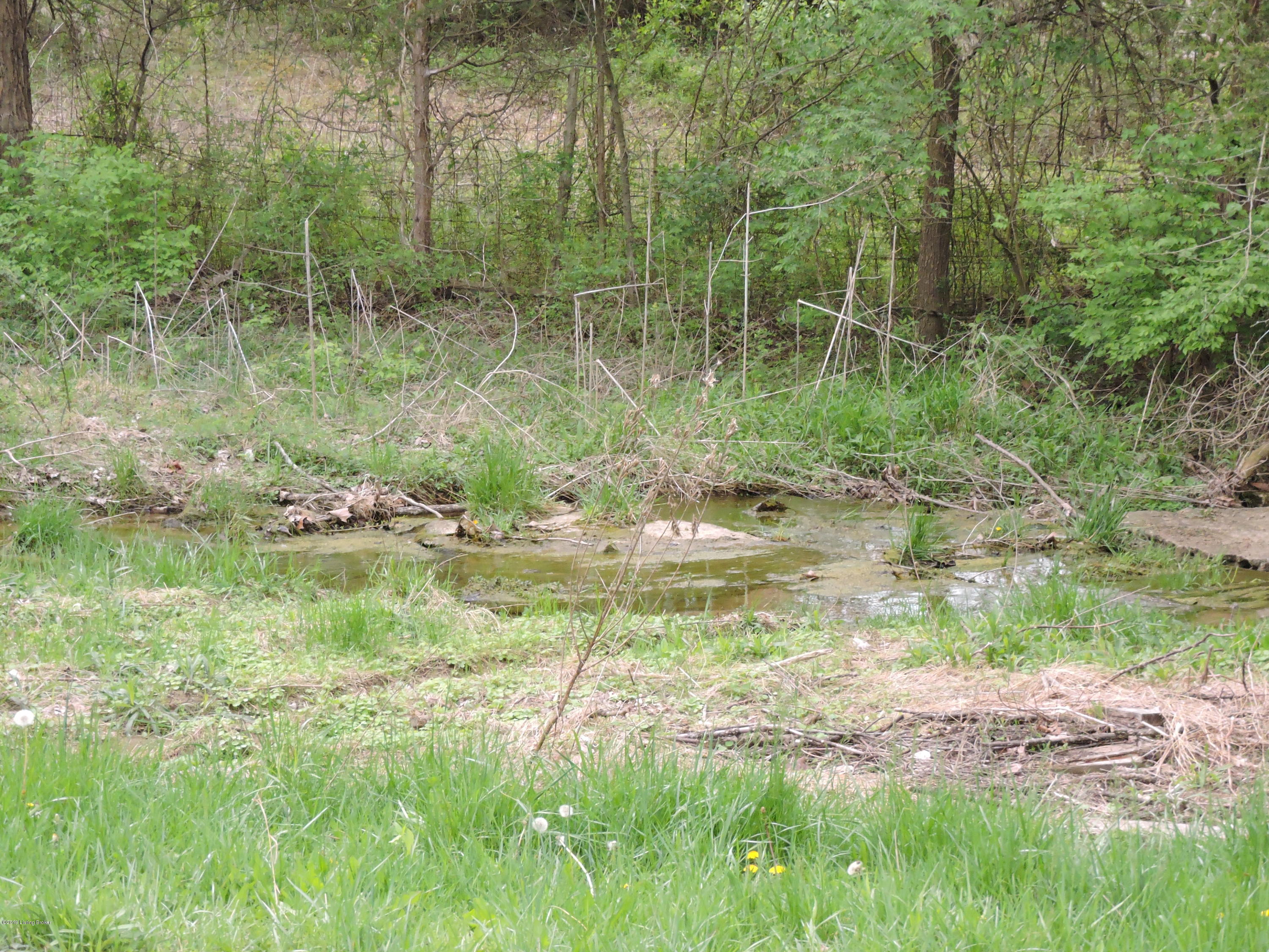 781 Ridgeview Drive Shepherdsville, KY 40165 - Photo 19 of 50 DSCN5694