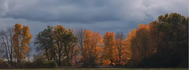 $109,900 | 6470 North 37th Street, Richland, MI 49083