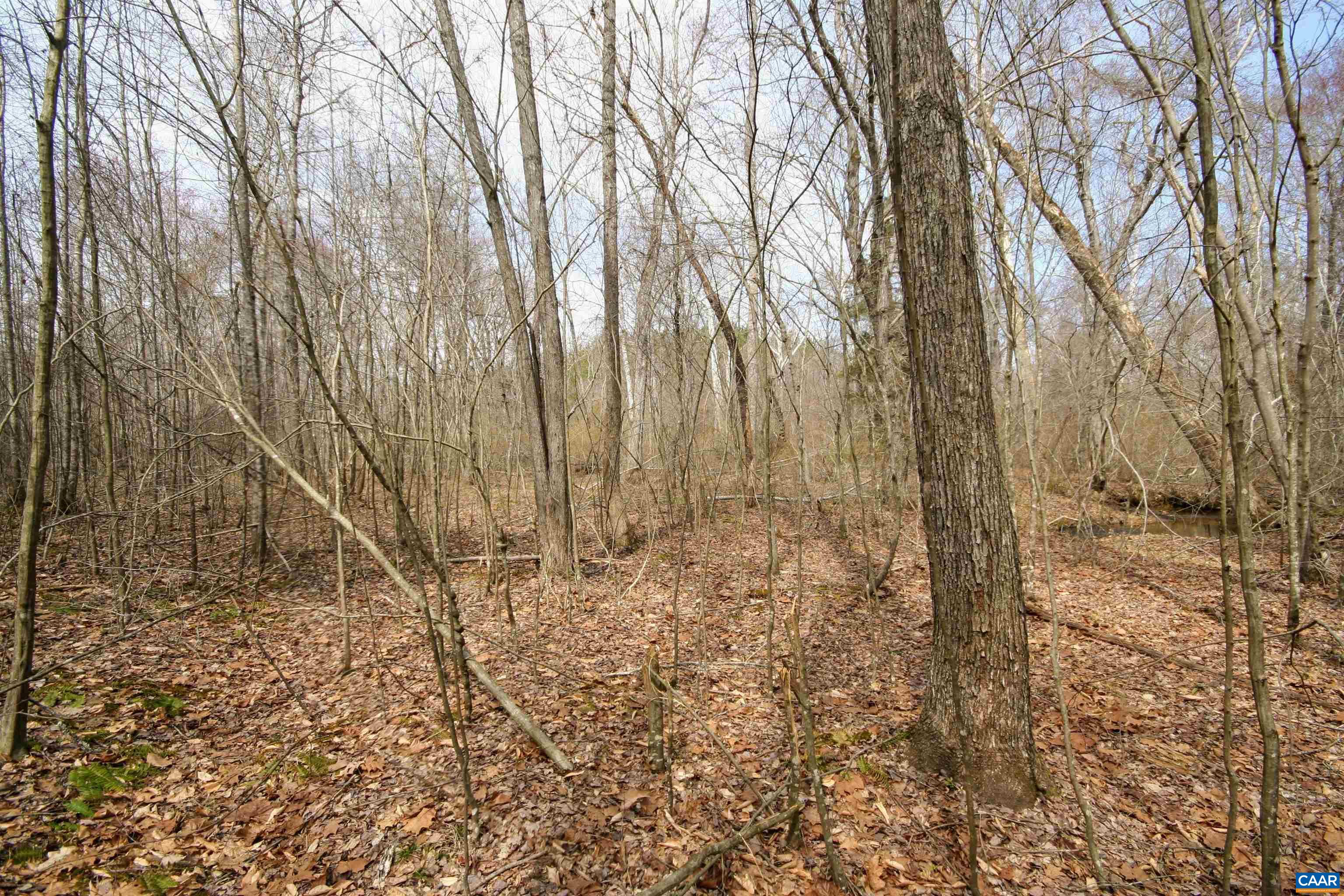 Tba Lot 3 Tba Road Wingina, VA 24599 - Photo 54 of 74 a backyard of a house with lots of green space