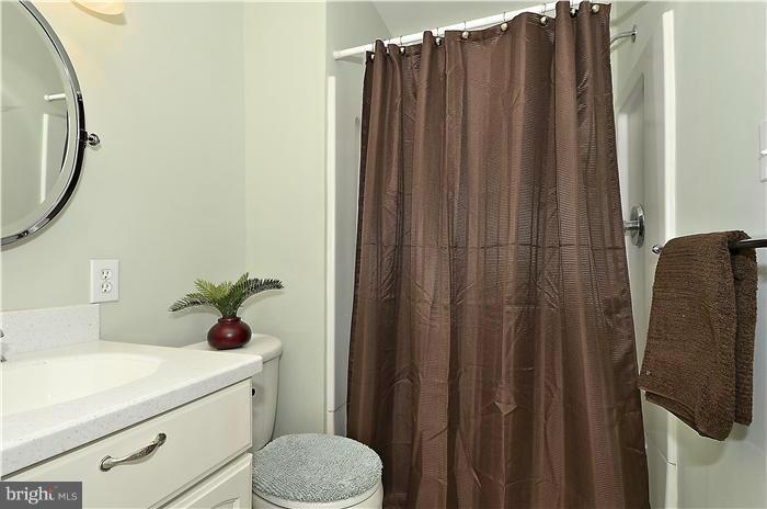 10218 Vale Road Vienna, VA 22181 - Photo 16 of 30 Bath (Master)