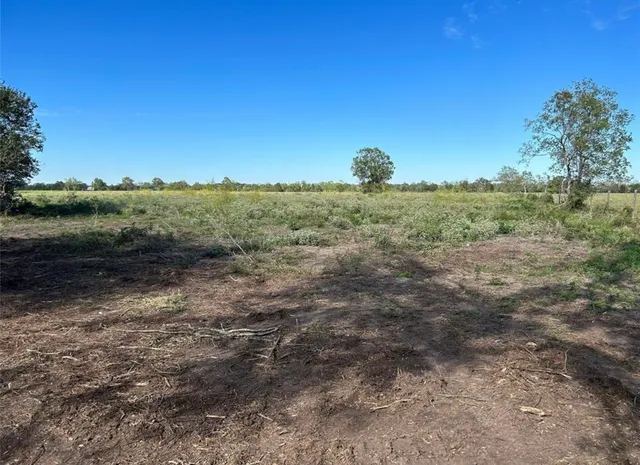 a view of a lake with a forest