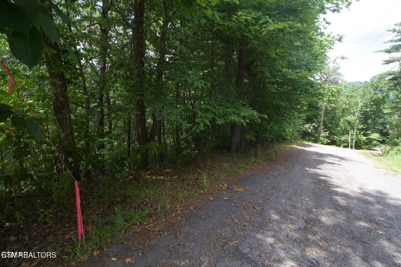 Lot 007 Shagbark Hickory Ridge Sevierville, TN 37862 - Photo 4 of 14 20250226203242686155000000-o