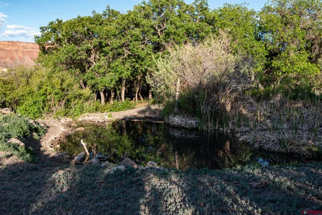 a view of outdoor space and yard