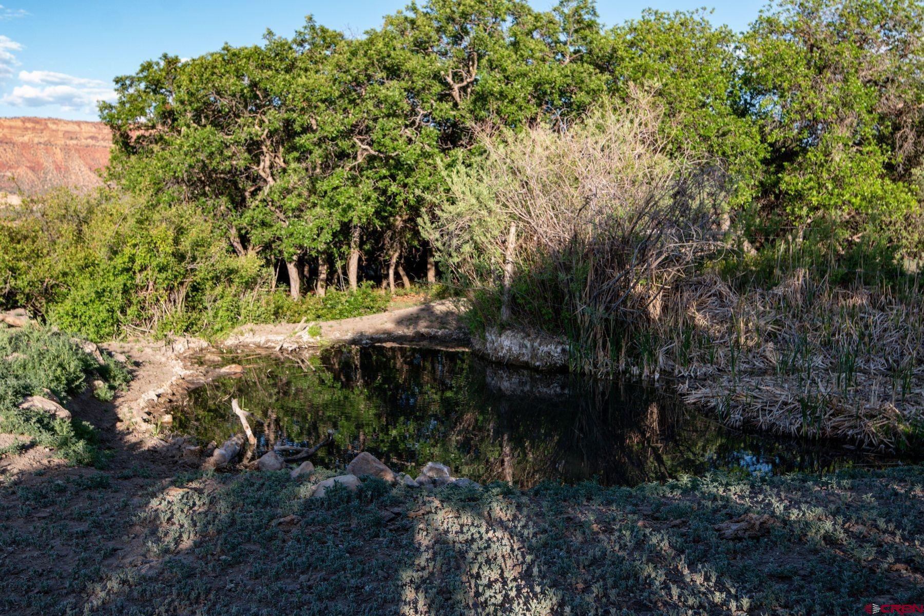 Undisclosed Address Gateway, CO 81522 - Photo 29 of 45 a view of outdoor space and yard