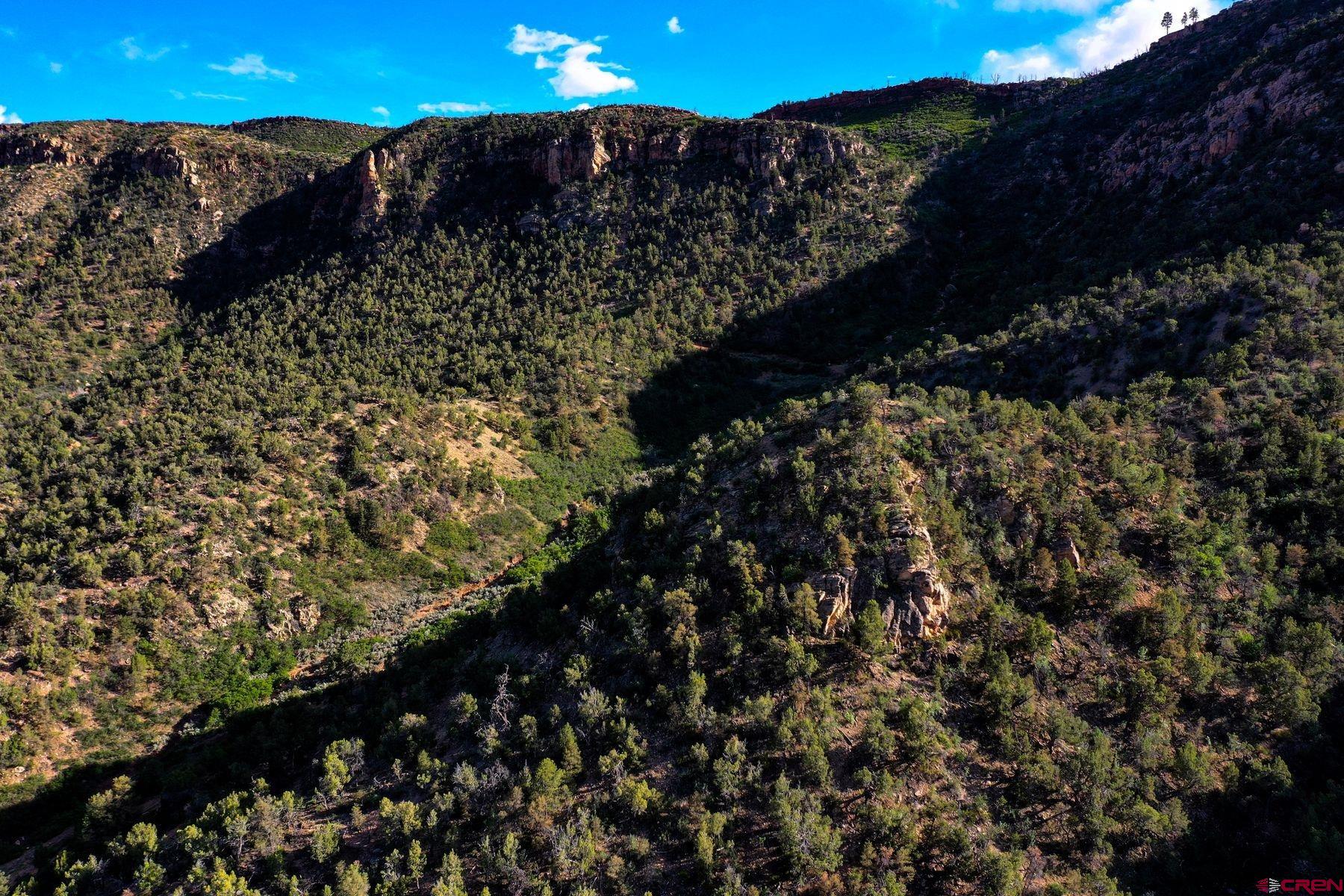 Undisclosed Address Gateway, CO 81522 - Photo 41 of 45 a view of a city