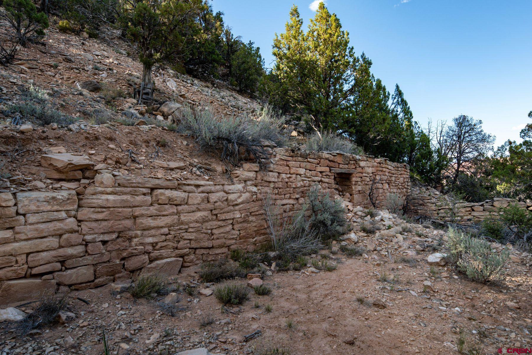 Undisclosed Address Gateway, CO 81522 - Photo 42 of 45 a view of a yard with a plants