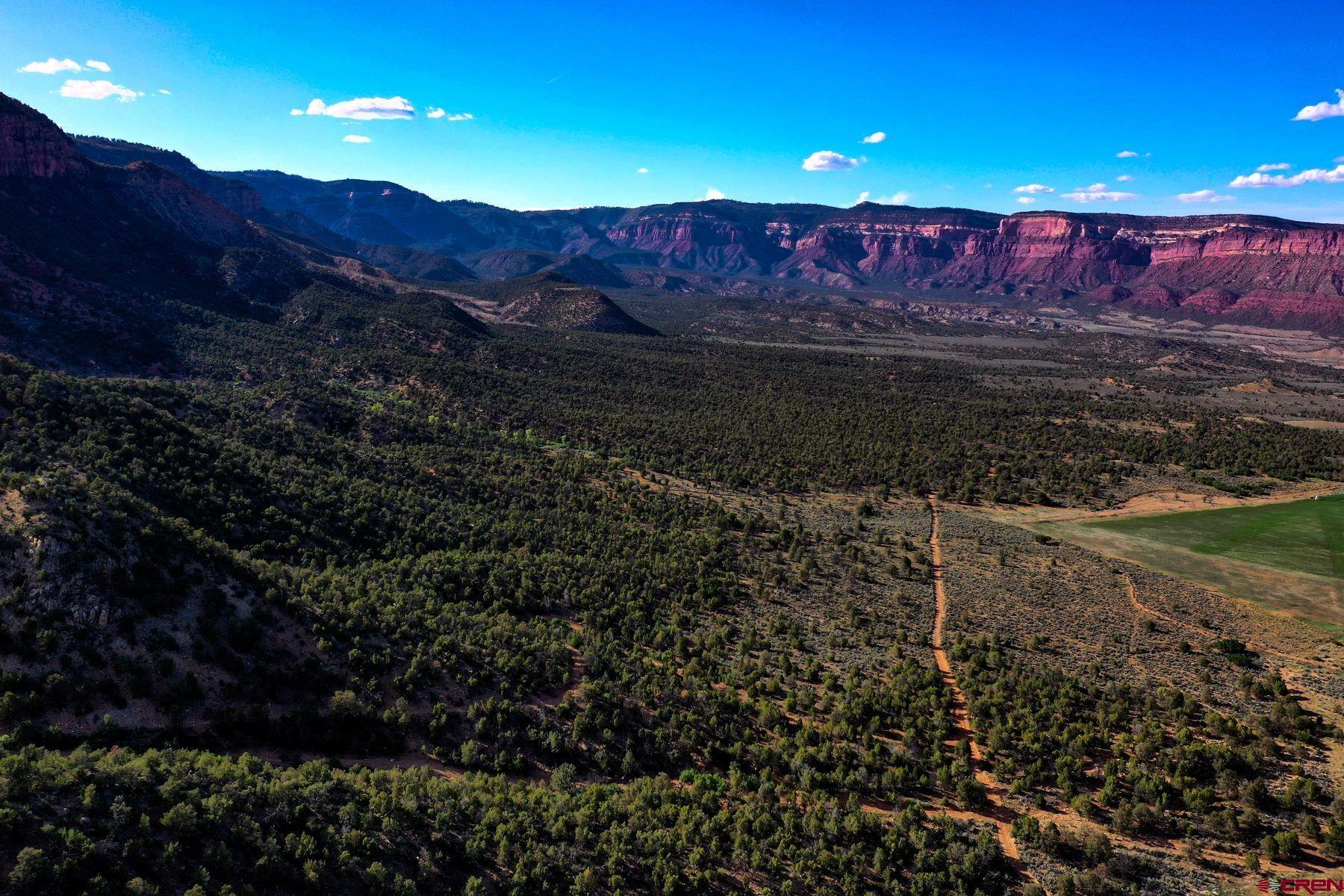 Undisclosed Address Gateway, CO 81522 - Photo 45 of 45 a view of a back yard