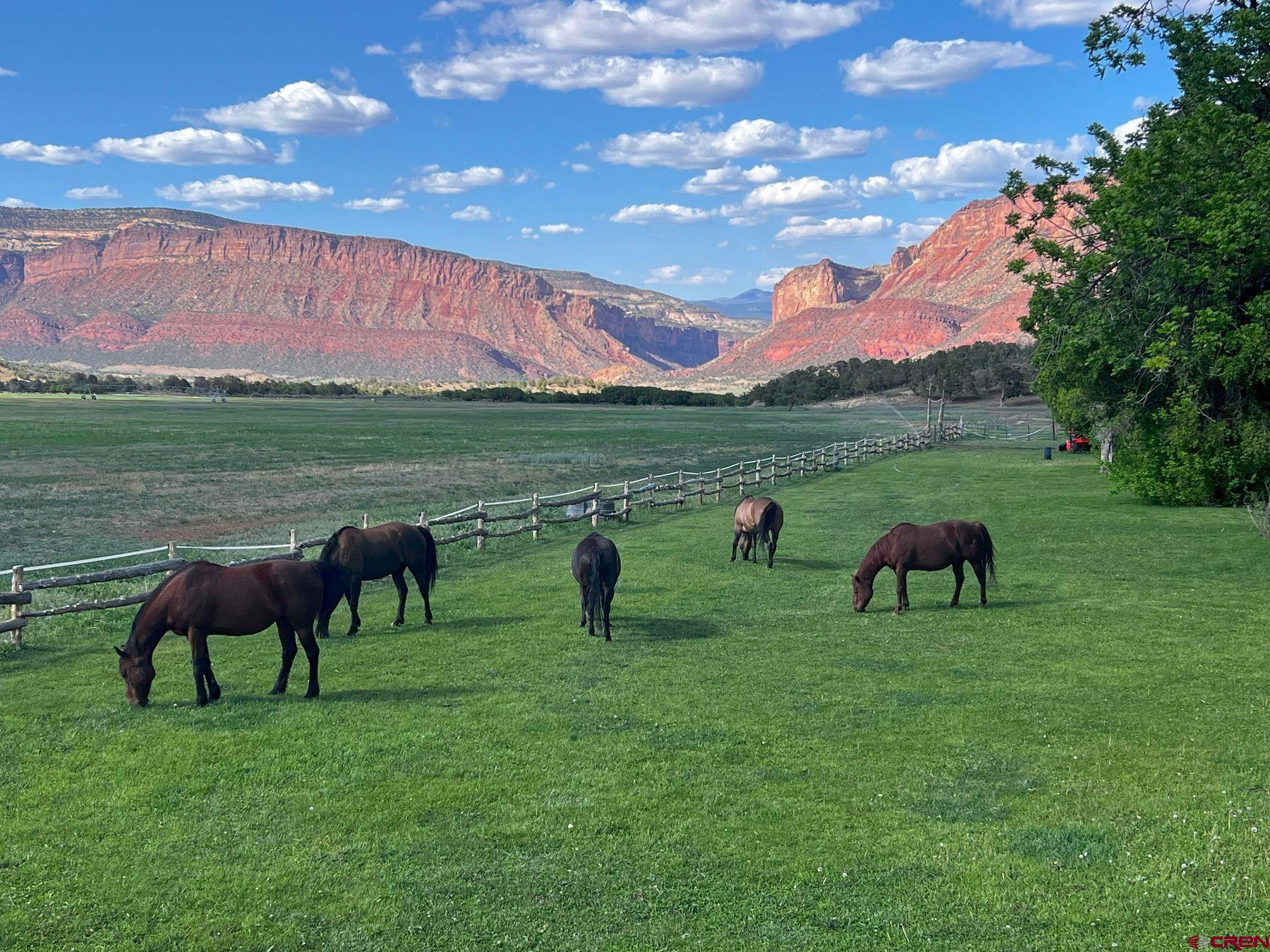 Undisclosed Address Gateway, CO 81522 - Photo 5 of 45 a view of a lake with a table and chairs