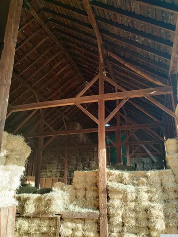 a view of house with a yard